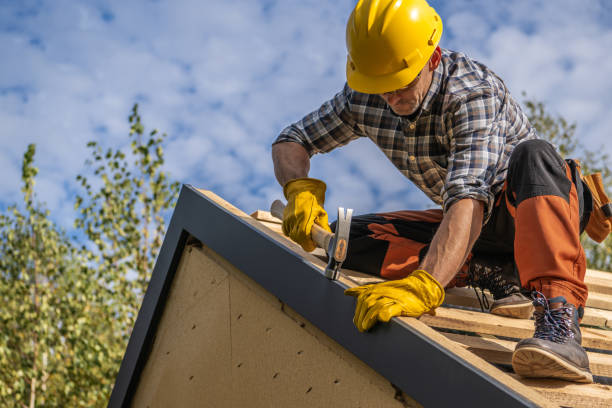 Best Roof Maintenance and Cleaning  in Radford, VA